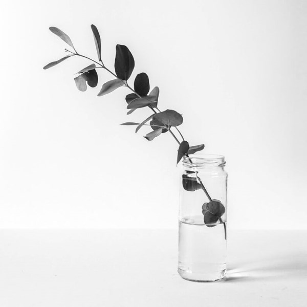 You can start a successful blog and Create Awesome